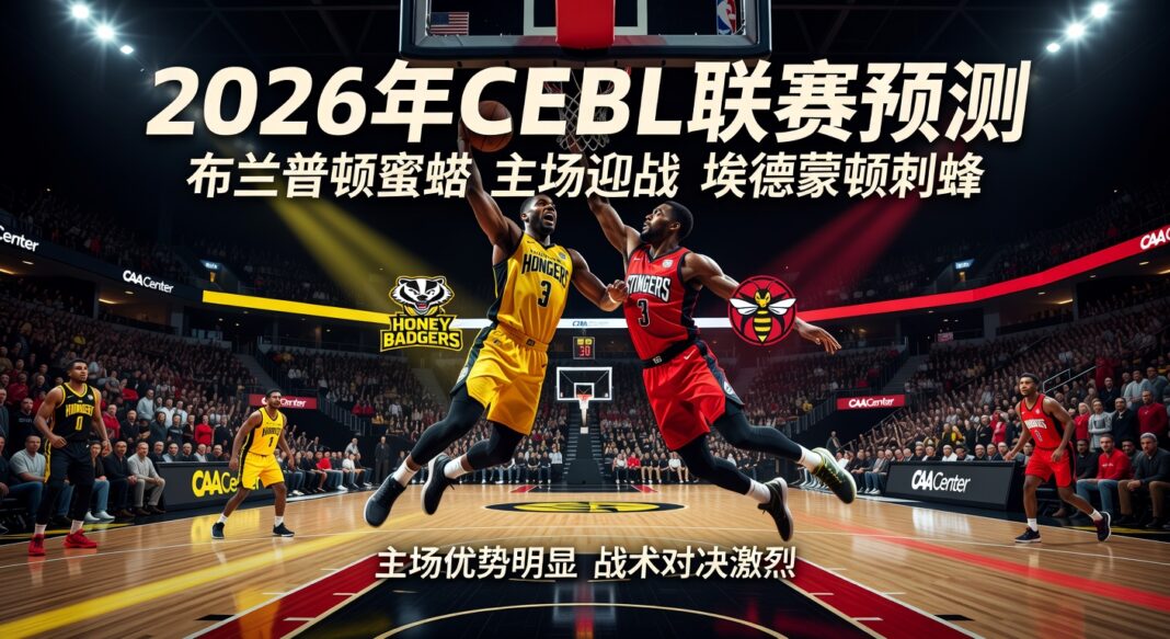 2026年CEBL联赛预测:布兰普顿蜜獾主场迎战埃德蒙顿刺蜂深度分析 2026年CEBL联赛预测:布兰普顿蜜獾主场迎战埃德蒙顿刺蜂深度分析